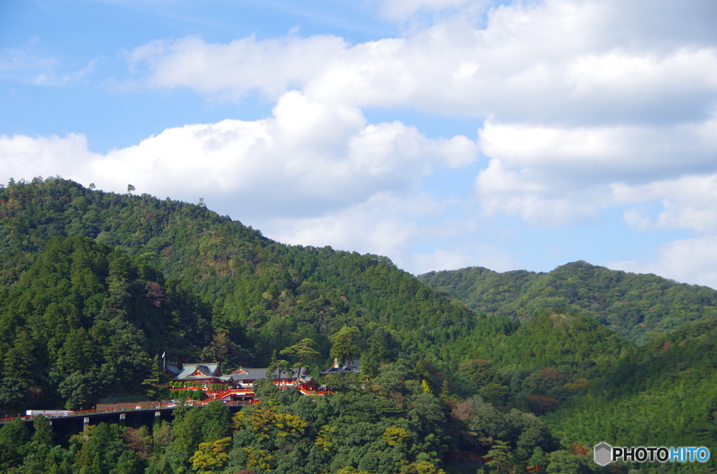 IMGP3548