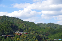 IMGP3548