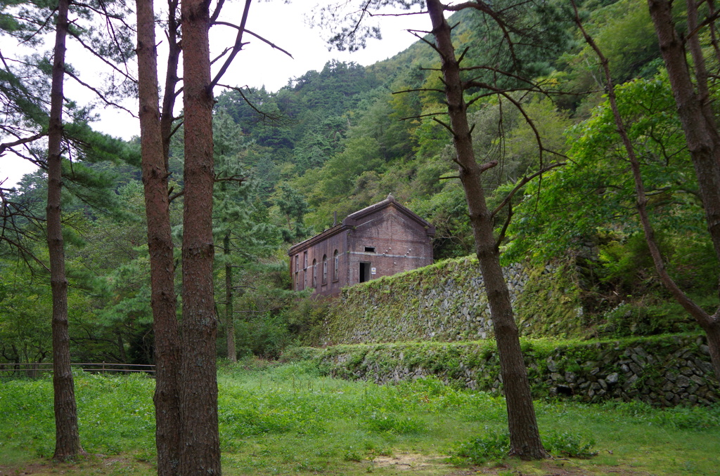 IMGP2486