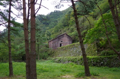 IMGP2486