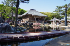 IMGP3876