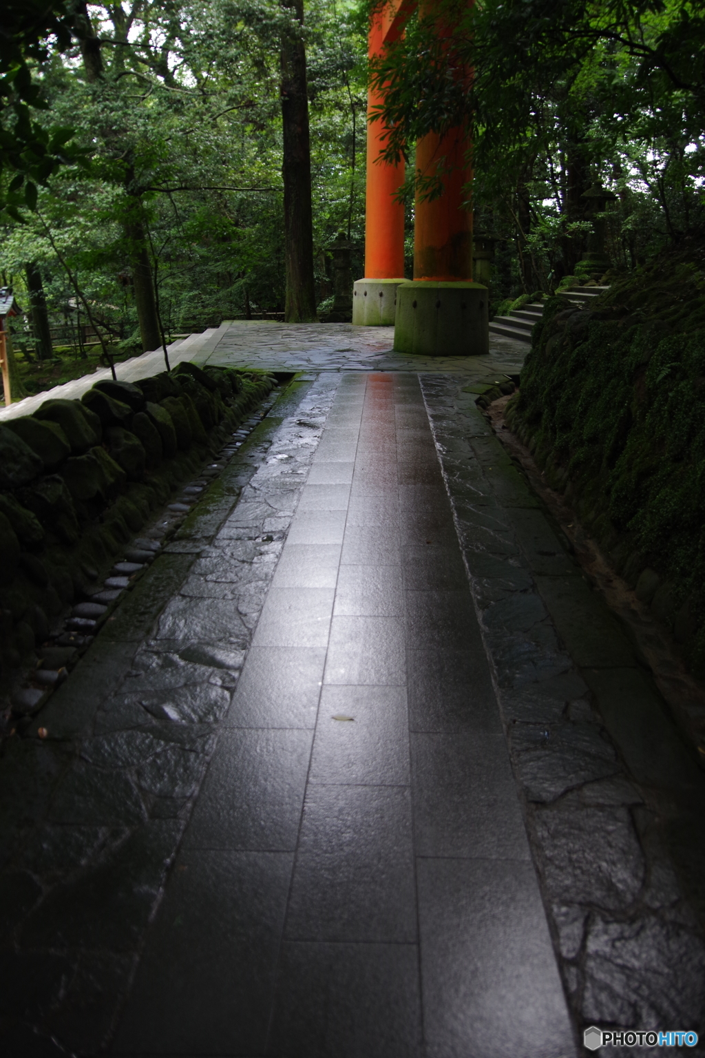 IMGP7317