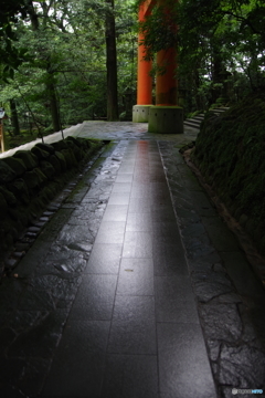 IMGP7317