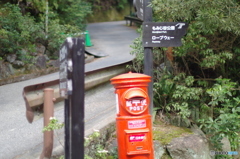 IMGP4816