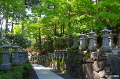 IMGP3803