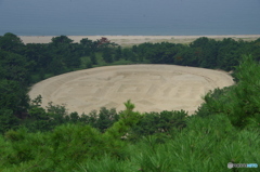 IMGP3377