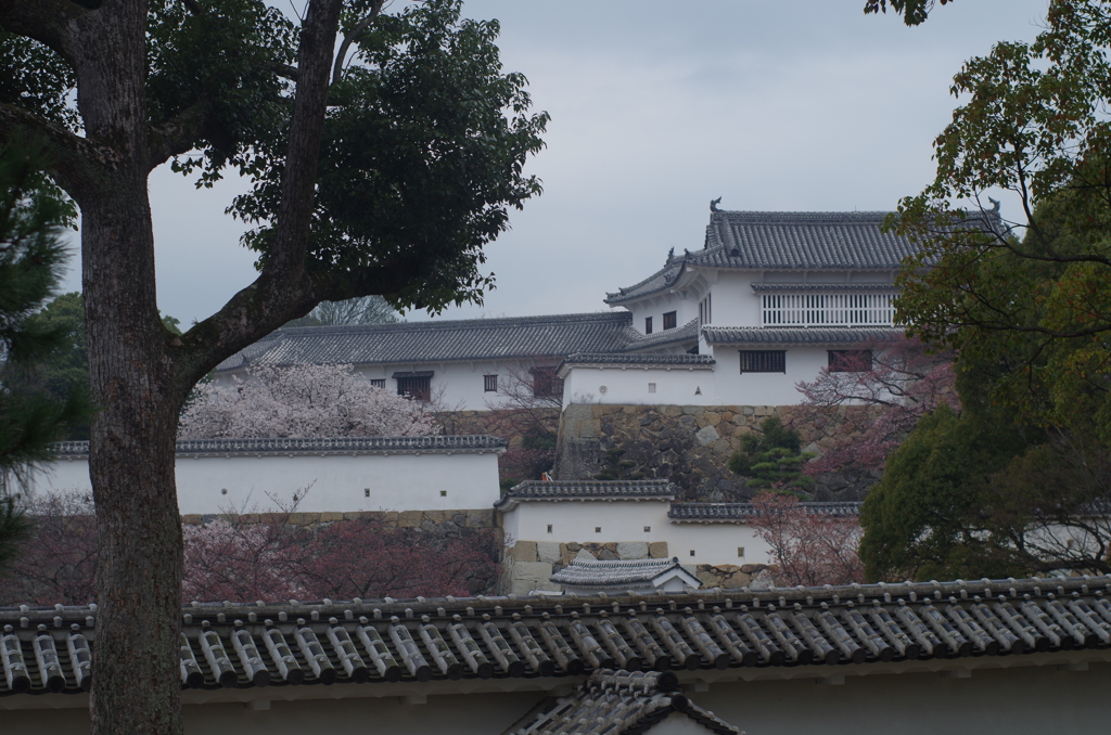 白鷺城３