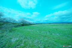 IMGP5085