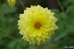 IMGP4471