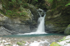 IMGP3402