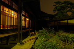 IMGP6888