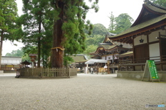 IMGP4094