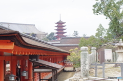 IMGP4830