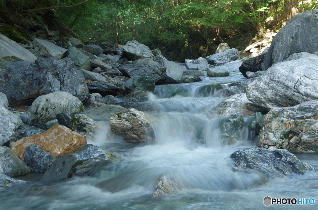 IMGP3394