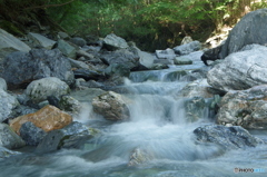 IMGP3394