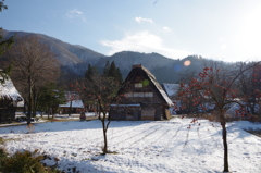 IMGP4687