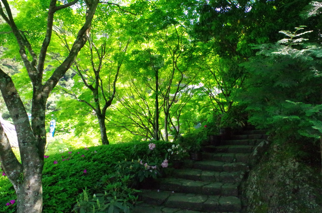 宮島３
