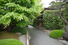 IMGP3125