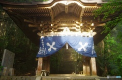 遍路道