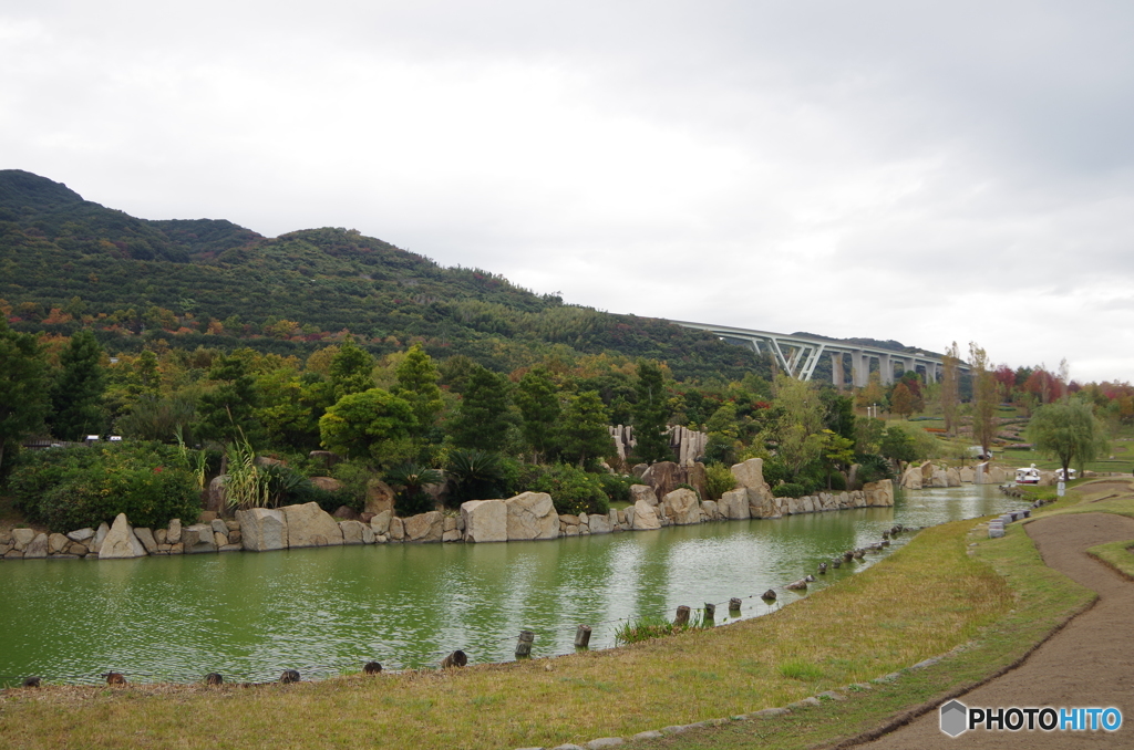 IMGP4441