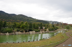 IMGP4441