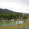 IMGP4441