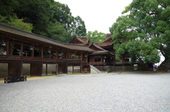 IMGP2417