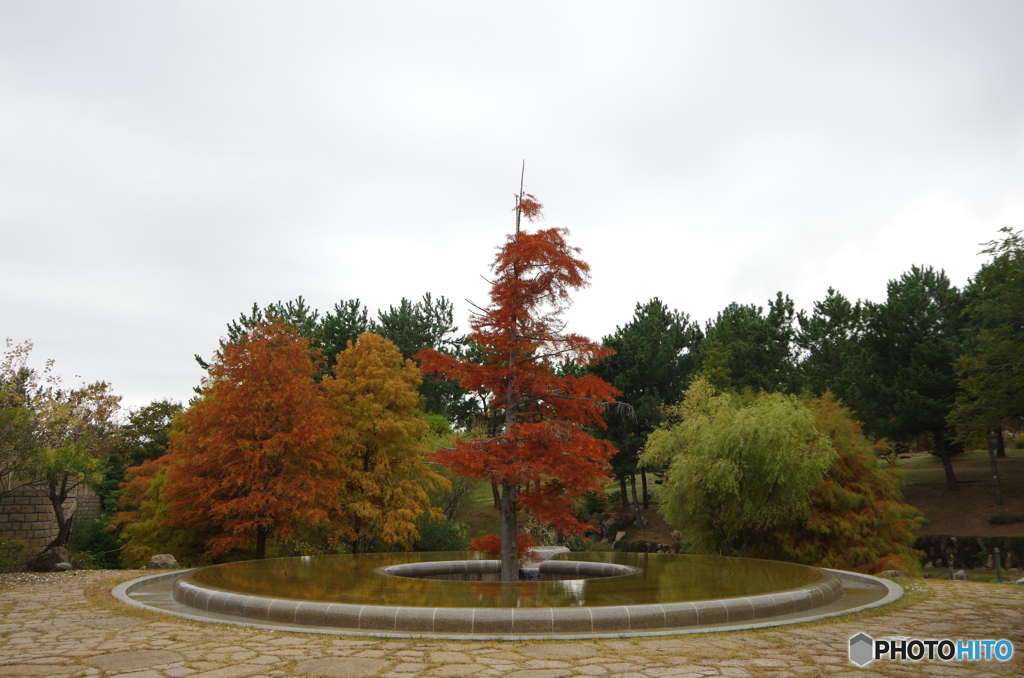 IMGP4447