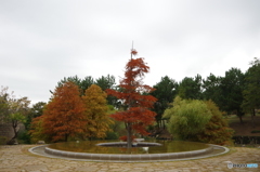 IMGP4447