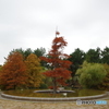 IMGP4447