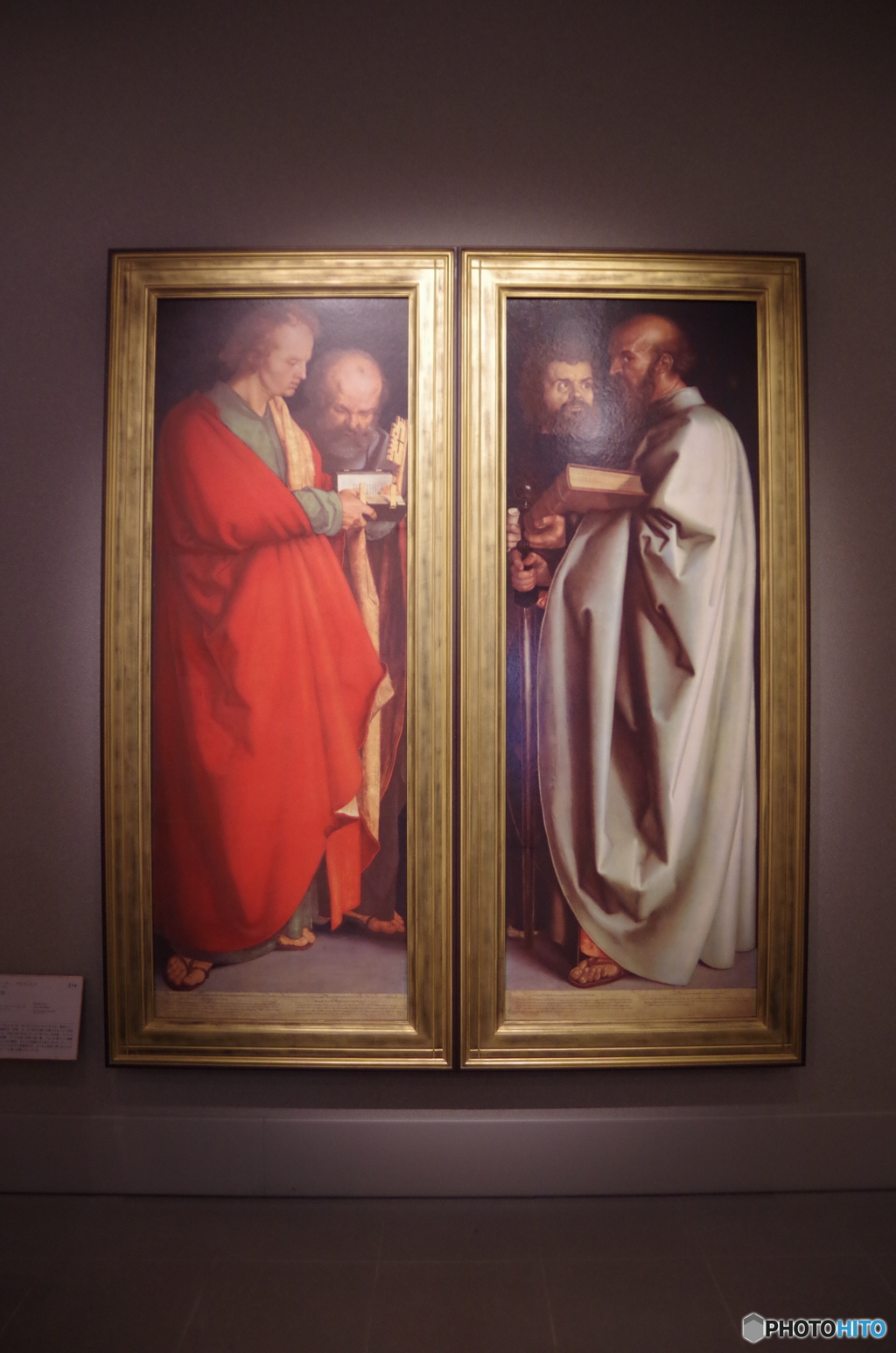 IMGP4342