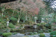 IMGP3624
