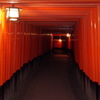 夜の伏見稲荷