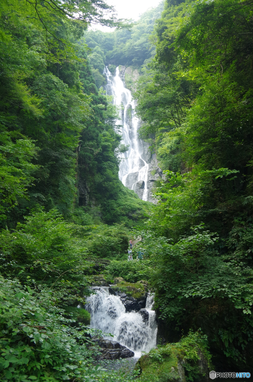IMGP3239