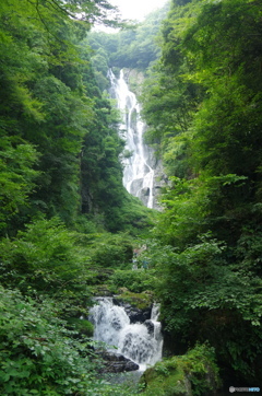 IMGP3239