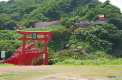 IMGP4012
