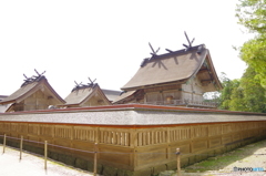 IMGP3478
