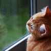 雨の日は雨粒を数えて