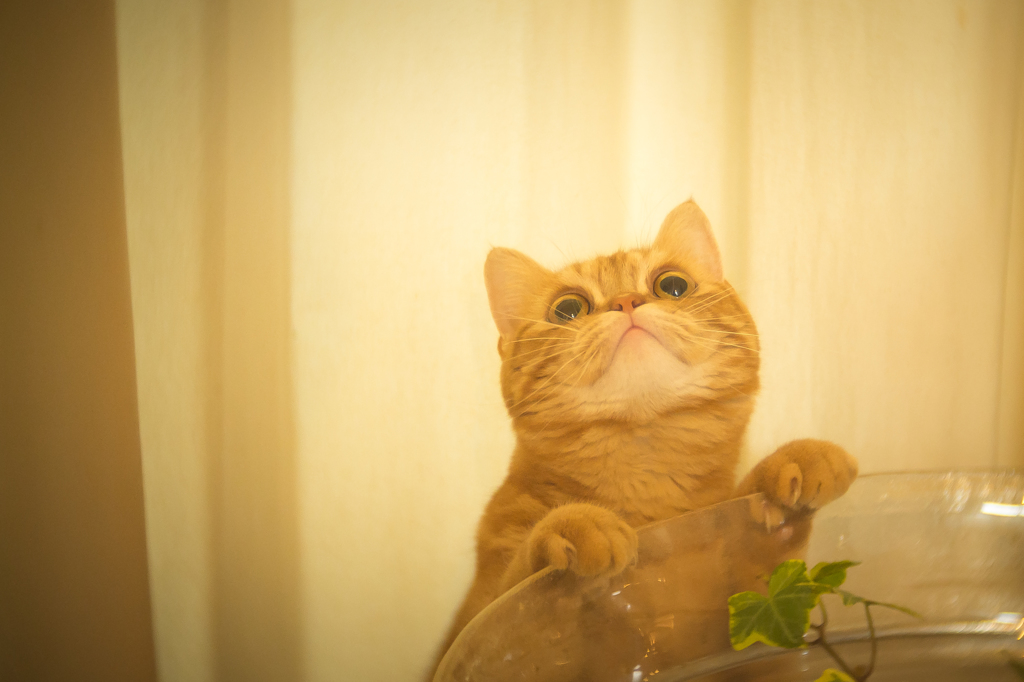 上が気になる
