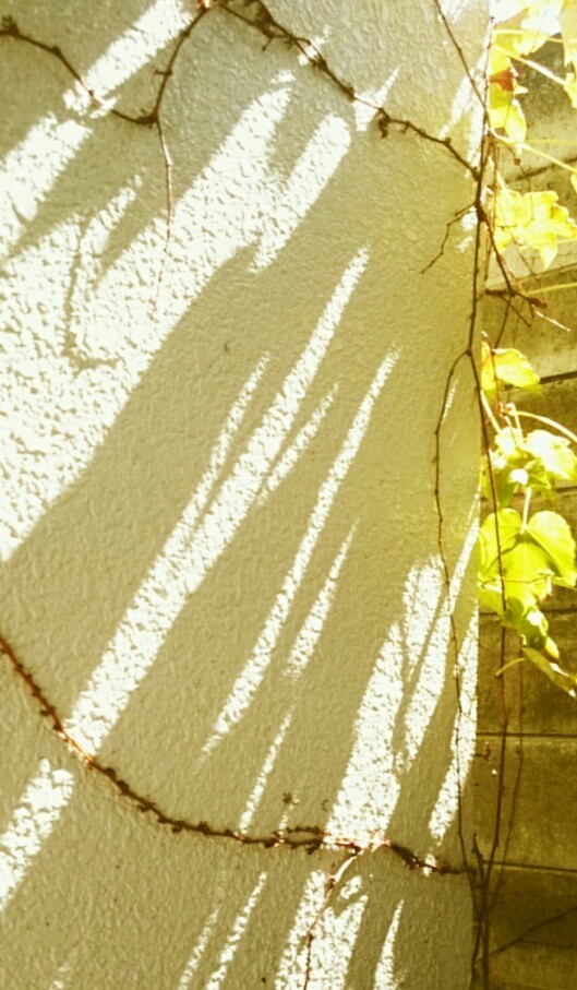ベランダ2