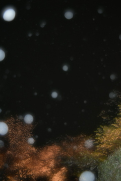 雨と桜