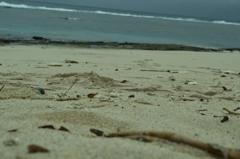 海へ3