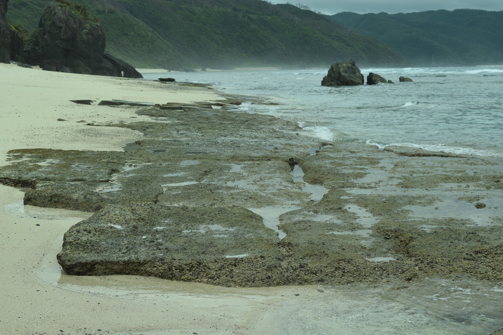 海へ11