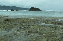 海へ9