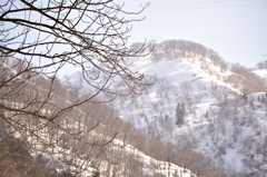 雪山2