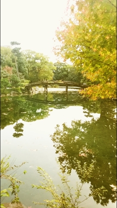 秋の光3