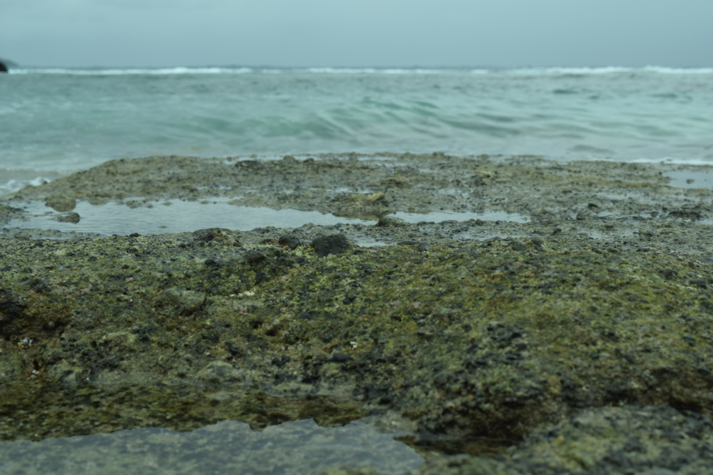 海へ10