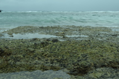海へ10