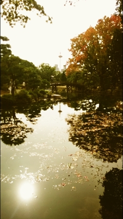 池とタワー