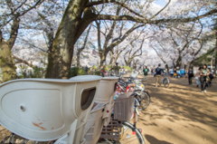 国『井の頭公園④』